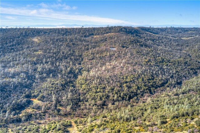1193 Oregon Gulch Rd, Oroville, CA 95965 - photo 49
