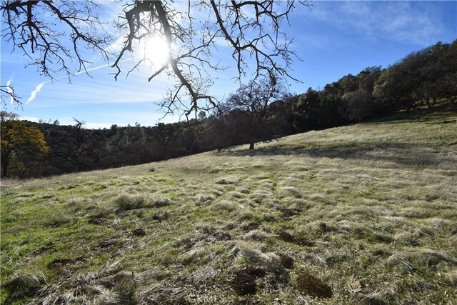 1193 Oregon Gulch Rd, Oroville, CA 95965 - photo 20