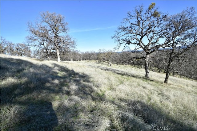 1193 Oregon Gulch Rd, Oroville, CA 95965 - photo 6