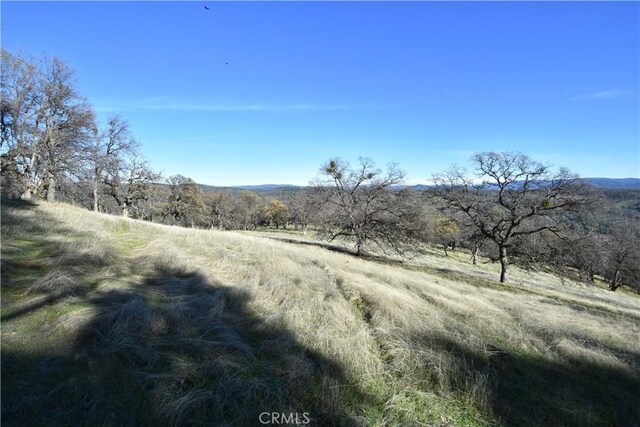 1193 Oregon Gulch Rd, Oroville, CA 95965 - photo 10