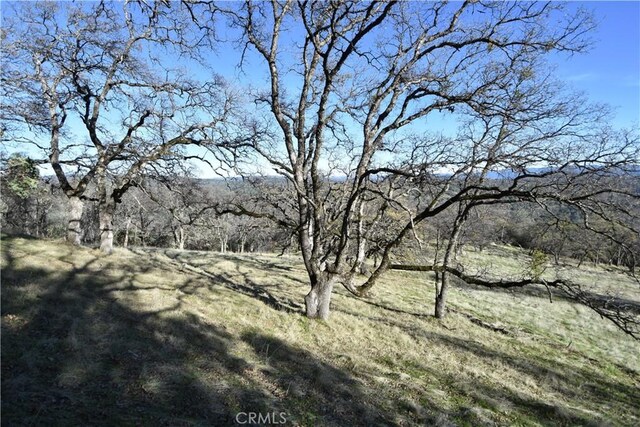 1193 Oregon Gulch Rd, Oroville, CA 95965 - photo 14