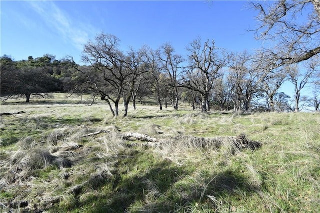 1193 Oregon Gulch Rd, Oroville, CA 95965 - photo 28