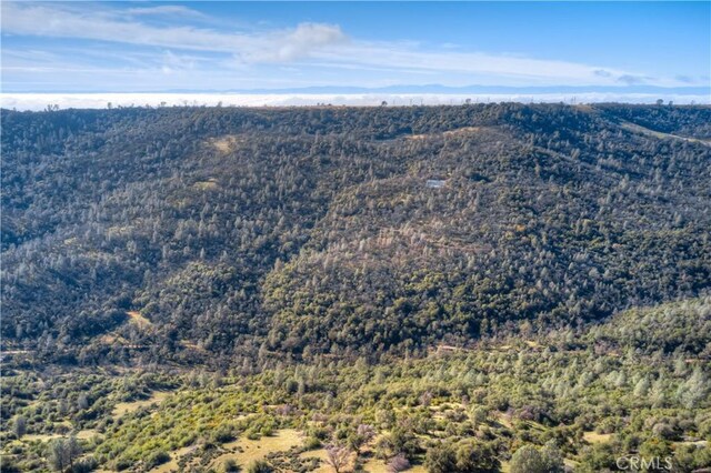 1193 Oregon Gulch Rd, Oroville, CA 95965 - photo 54