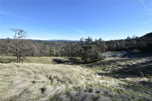 1193 Oregon Gulch Rd, Oroville, CA 95965 - photo 3