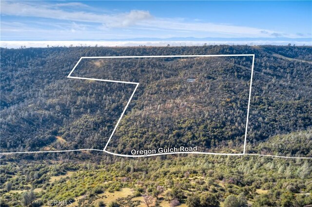 1193 Oregon Gulch Rd, Oroville, CA 95965 - photo 46