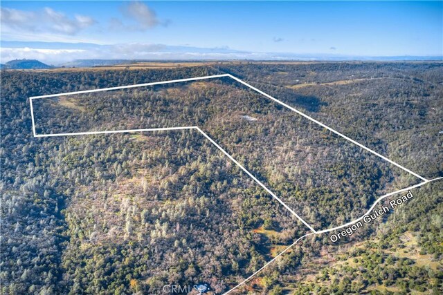 1193 Oregon Gulch Rd, Oroville, CA 95965 - photo 44