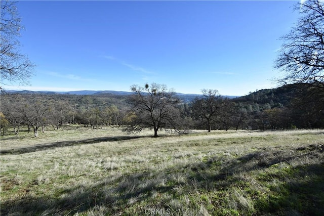 1193 Oregon Gulch Rd, Oroville, CA 95965 - photo 1