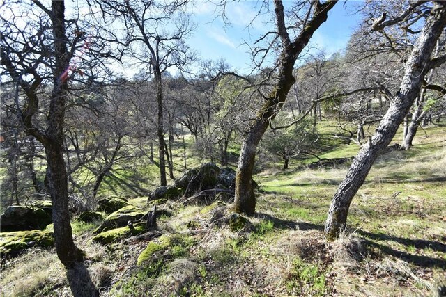 1193 Oregon Gulch Rd, Oroville, CA 95965 - photo 39