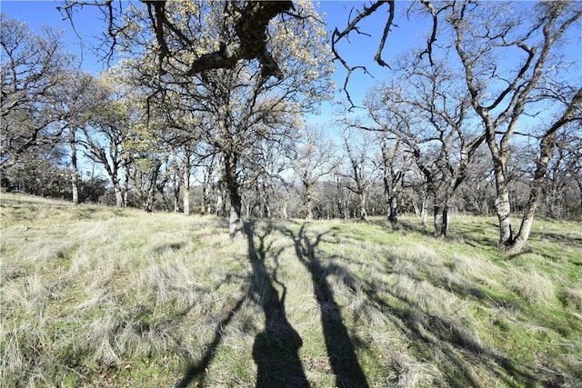 1193 Oregon Gulch Rd, Oroville, CA 95965 - photo 22