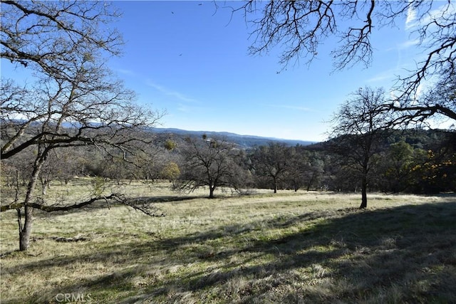 1193 Oregon Gulch Rd, Oroville, CA 95965 - photo 18