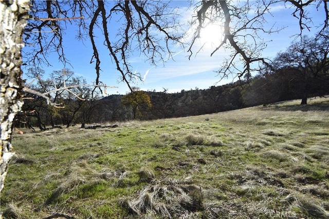 1193 Oregon Gulch Rd, Oroville, CA 95965 - photo 19
