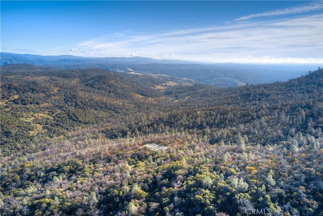 1193 Oregon Gulch Rd, Oroville, CA 95965 - photo 23