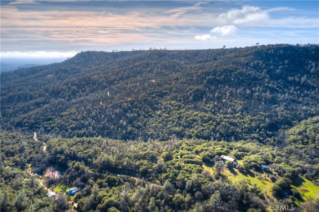1193 Oregon Gulch Rd, Oroville, CA 95965 - photo 36