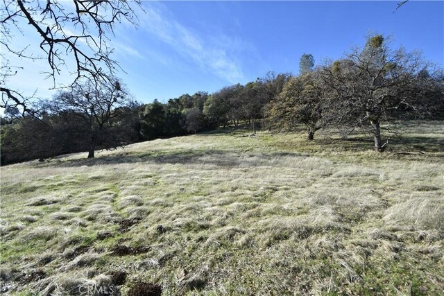 1193 Oregon Gulch Rd, Oroville, CA 95965 - photo 21