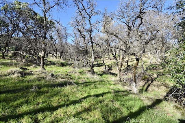1193 Oregon Gulch Rd, Oroville, CA 95965 - photo 47