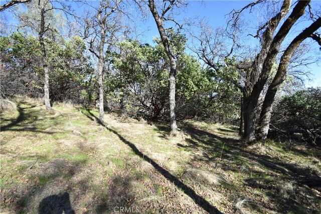 1193 Oregon Gulch Rd, Oroville, CA 95965 - photo 33