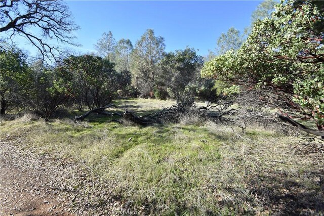 1193 Oregon Gulch Rd, Oroville, CA 95965 - photo 48