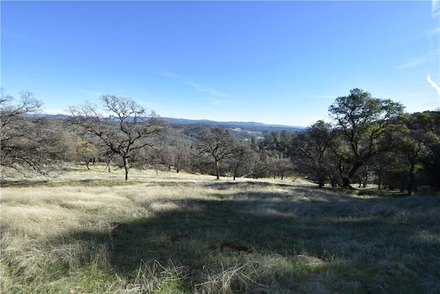 1193 Oregon Gulch Rd, Oroville, CA 95965 - photo 11