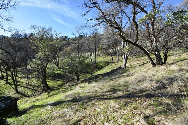 1193 Oregon Gulch Rd, Oroville, CA 95965 - photo 43