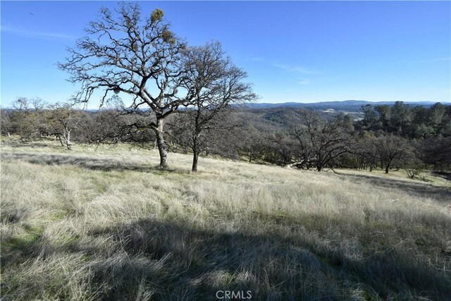 1193 Oregon Gulch Rd, Oroville, CA 95965 - photo 7