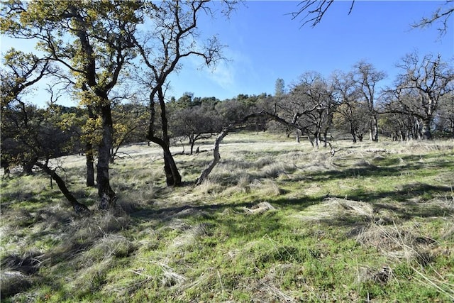 1193 Oregon Gulch Rd, Oroville, CA 95965 - photo 30