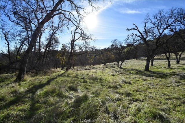 1193 Oregon Gulch Rd, Oroville, CA 95965 - photo 24