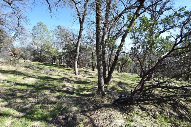 1193 Oregon Gulch Rd, Oroville, CA 95965 - photo 35