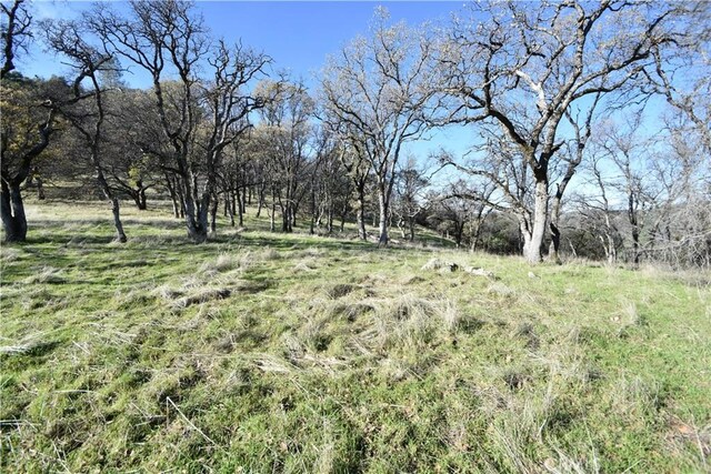 1193 Oregon Gulch Rd, Oroville, CA 95965 - photo 27