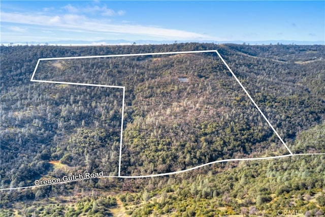 1193 Oregon Gulch Rd, Oroville, CA 95965 - photo 51
