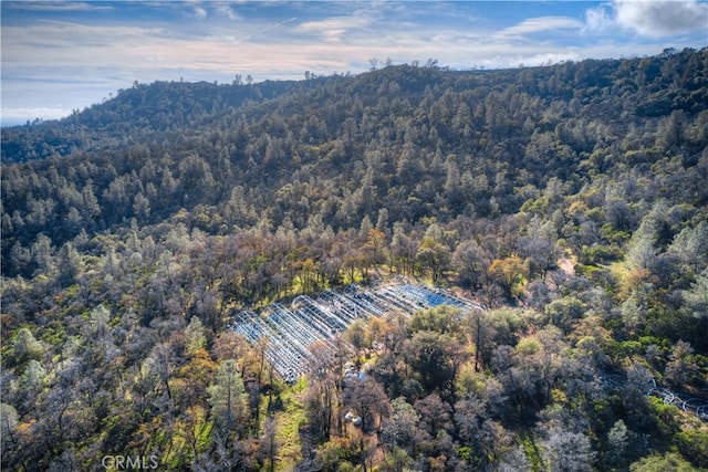 1193 Oregon Gulch Rd, Oroville, CA 95965 - photo 2