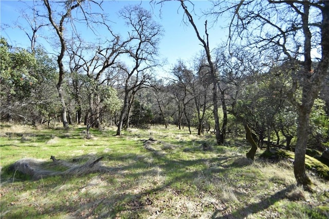 1193 Oregon Gulch Rd, Oroville, CA 95965 - photo 40