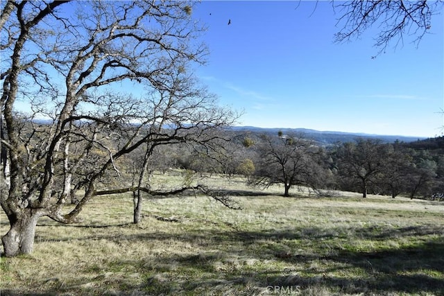 1193 Oregon Gulch Rd, Oroville, CA 95965 - photo 16