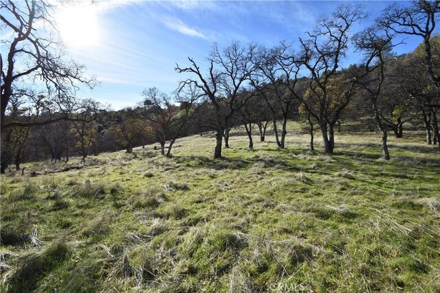 1193 Oregon Gulch Rd, Oroville, CA 95965 - photo 25