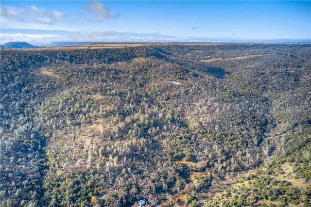 1193 Oregon Gulch Rd, Oroville, CA 95965 - photo 41