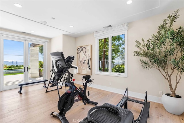 30 Catalina Vista Rd, Ladera Ranch, CA 92694 - exercise room featuring healthy amount of natural light, light wood-type flooring, french doors, and recessed lighting