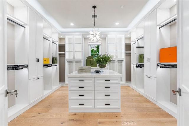 30 Catalina Vista Rd, Ladera Ranch, CA 92694 - walk in closet with light wood-type flooring