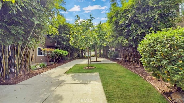 4727 W 147th St Unit 133, Lawndale, CA 90260 - view of home's community with a lawn and a patio area