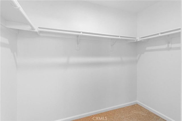 45722 Palm Ln, Lancaster, CA 93535 - spacious closet with carpet flooring