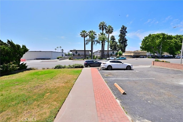 833 W Duarte Rd Unit 11, Arcadia, CA 91007 - view of green lawn