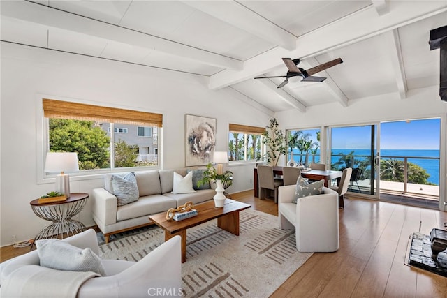 32055 Virginia Way, Laguna Beach, CA 92651 - living area featuring healthy amount of natural light, wood finished floors, and ceiling fan