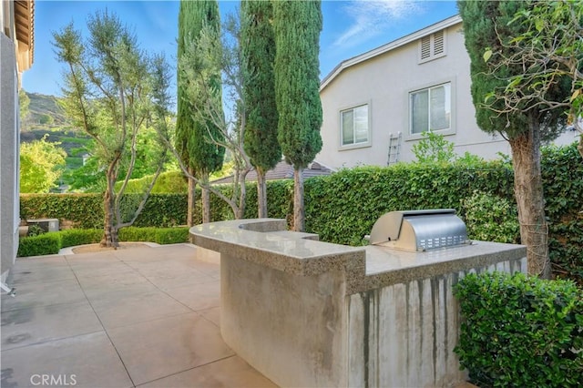 4451 Birdie Dr, Corona, CA 92883 - view of patio / terrace with an outdoor kitchen