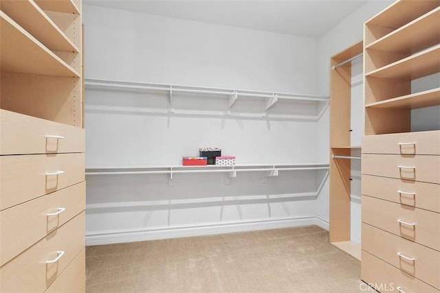 29530 Winding Brook Dr, Menifee, CA 92584 - walk in closet featuring light carpet