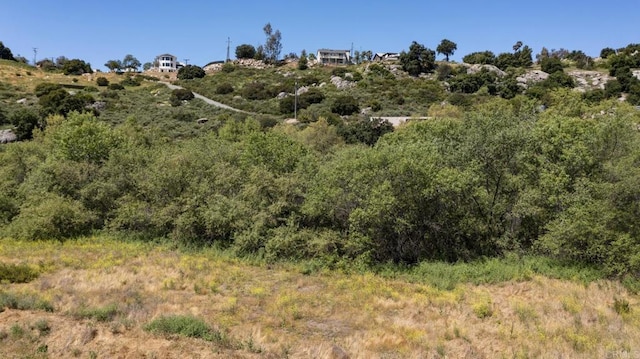 3 Hatfield Ln, Ramona, CA 92065 - photo 18
