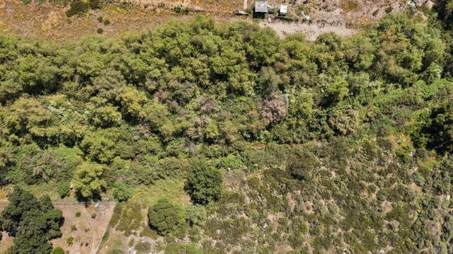 3 Hatfield Ln, Ramona, CA 92065 - photo 28