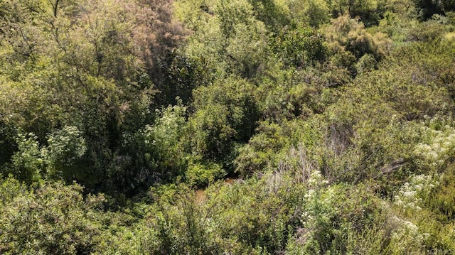 3 Hatfield Ln, Ramona, CA 92065 - photo 23