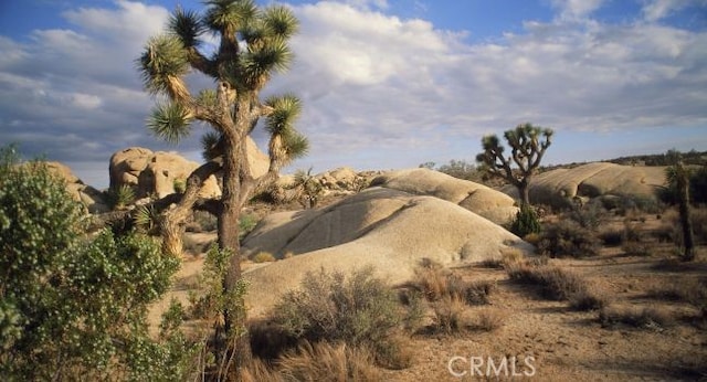 6162 Chia Ave Unit 29, Palms, CA 92277 - view of nature