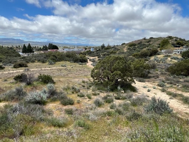 56735 Cain Rd, Anza, CA 92539