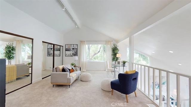 496 Crane Blvd, Los Angeles, CA 90065 - photo 24