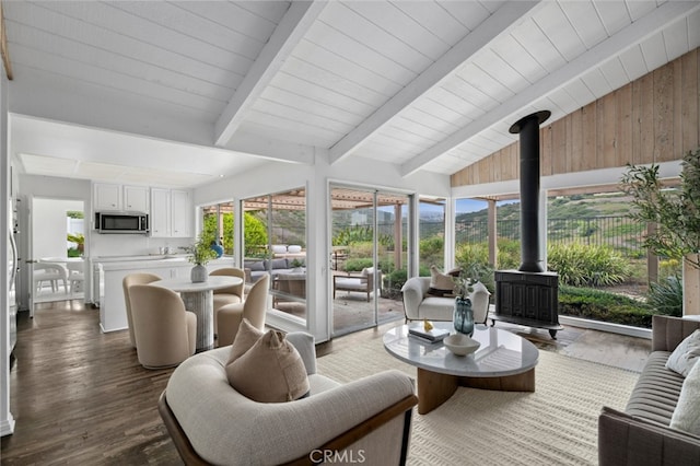 1606 Reef View Cir, Corona Del Mar, CA 92625 - living area featuring a wood stove, wood finished floors, wooden ceiling, and a mountain view