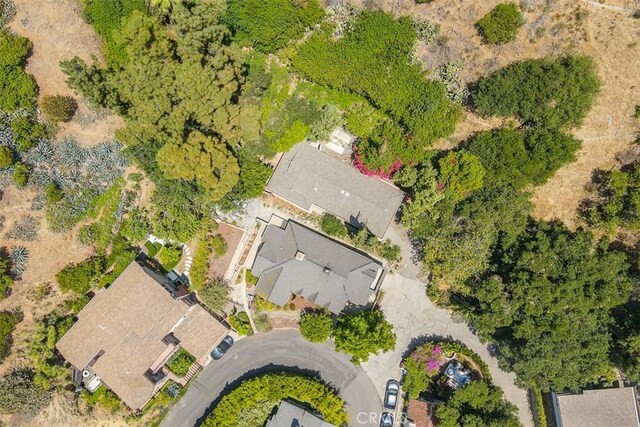 2256 Bronson Hill Dr, Los Angeles, CA 90068 - photo 44